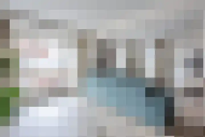 Vlassert 11 Reusel thumbnail 11