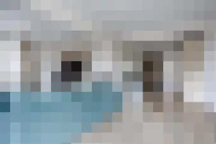 Vlassert 11 Reusel thumbnail 12
