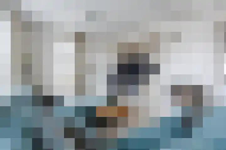Vlassert 11 Reusel thumbnail 13
