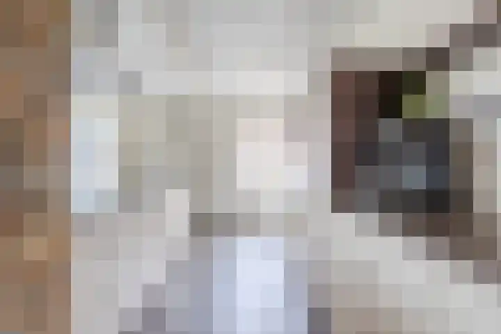 Vlassert 11 Reusel thumbnail 16