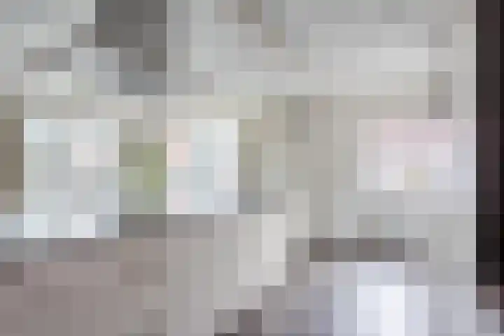 Vlassert 11 Reusel thumbnail 18