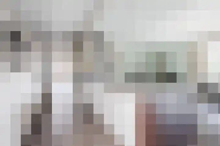 Vlassert 11 Reusel thumbnail 20