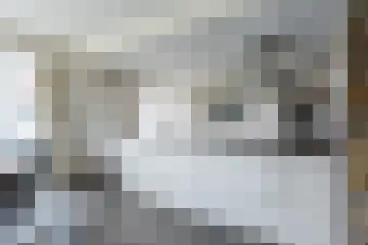 Vlassert 11 Reusel thumbnail 22