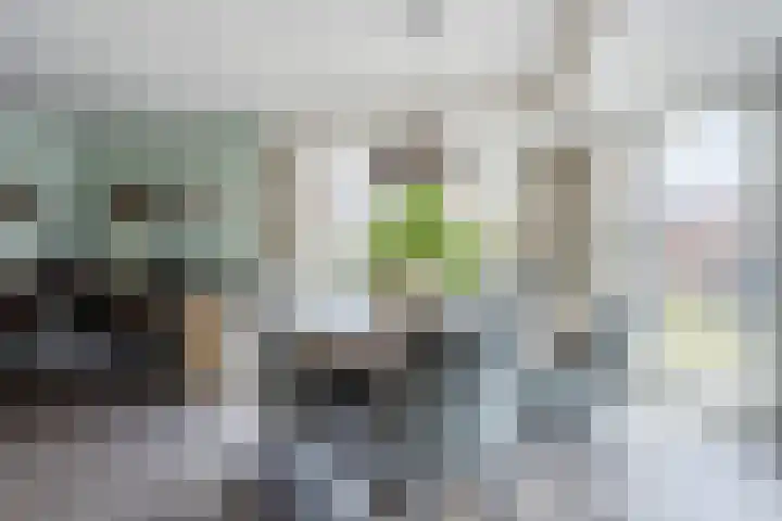 Vlassert 11 Reusel thumbnail 24