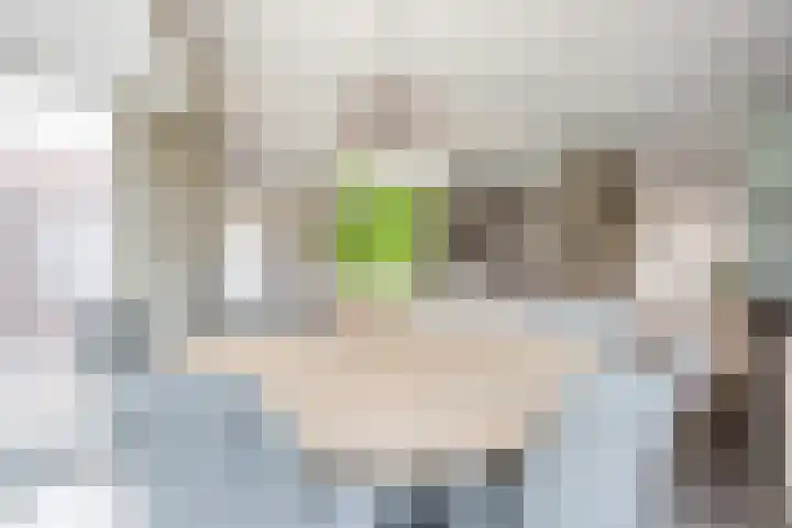 Vlassert 11 Reusel thumbnail 25