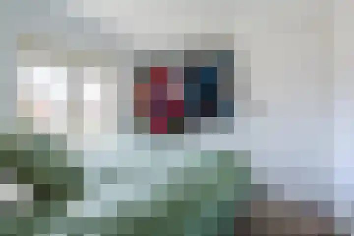 Vlassert 11 Reusel thumbnail 36