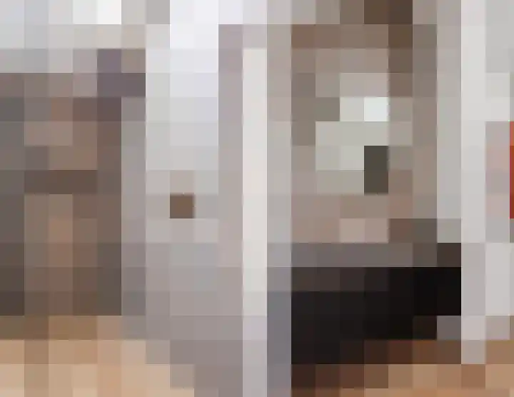 Vlassert 11 Reusel thumbnail 41
