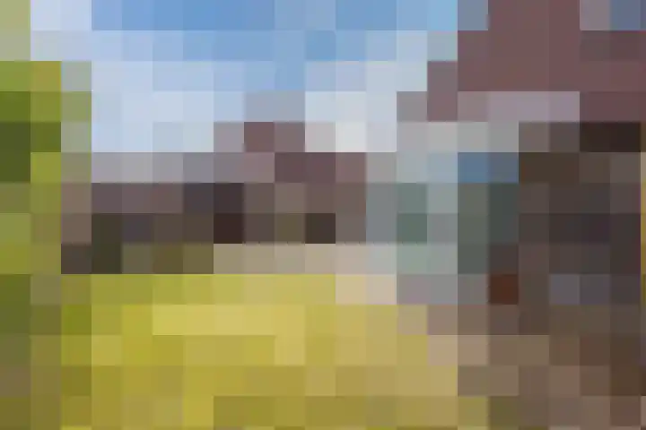 Vlassert 11 Reusel thumbnail 47