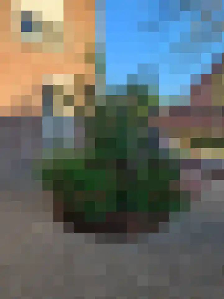Vlassert 11 Reusel thumbnail 62