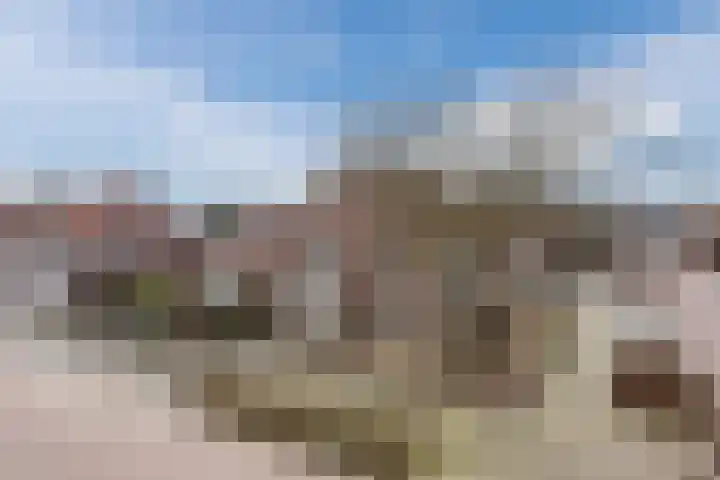 Vlassert 11 Reusel thumbnail 63