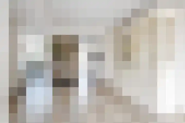 Vlassert 11 Reusel thumbnail 9