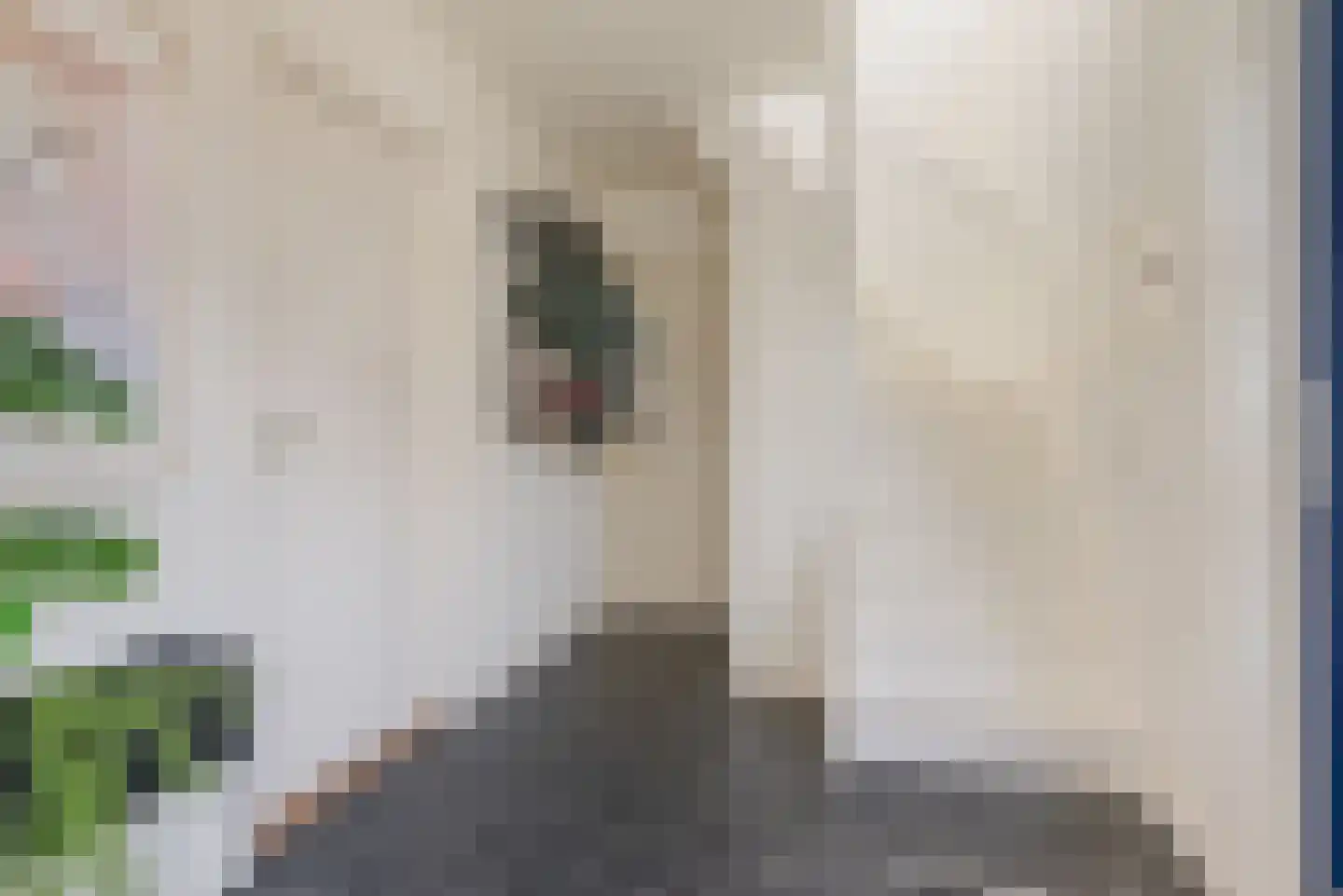 Vlassert 34 Reusel thumbnail 10