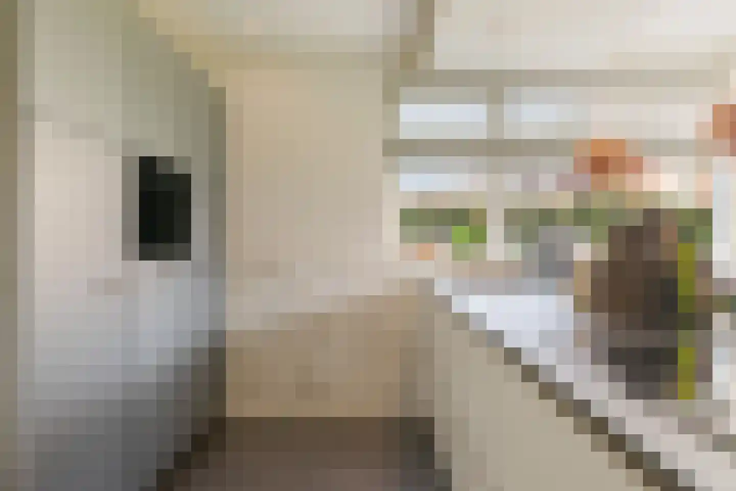 Vlassert 34 Reusel thumbnail 21