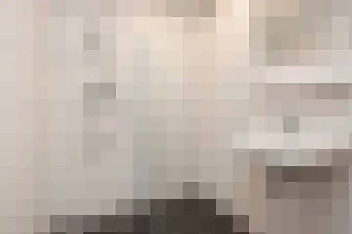 Vlassert 34 Reusel thumbnail 30