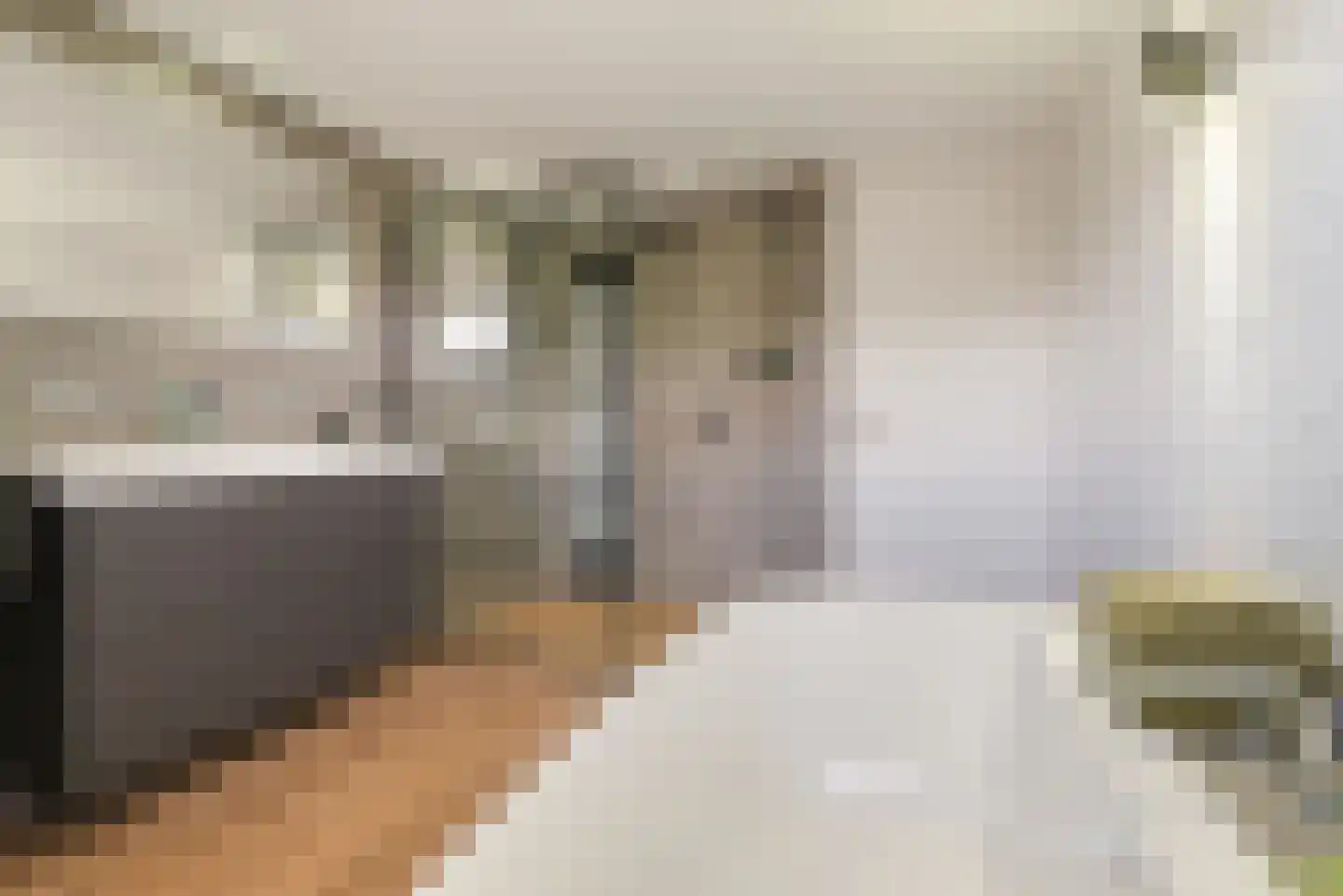 Vlassert 34 Reusel thumbnail 49