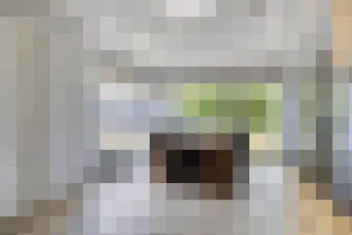 Vlasstraat 13 Heikant thumbnail 10