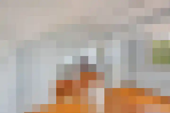 Vlasstraat 13 Heikant thumbnail 21