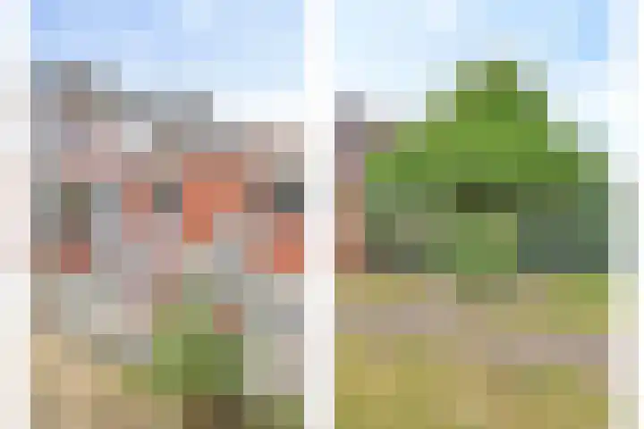 Vlasstraat 13 Heikant thumbnail 27