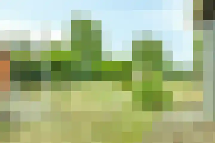 Vlasstraat 13 Heikant thumbnail 31