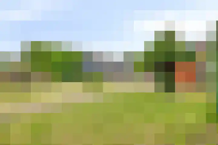 Vlasstraat 13 Heikant thumbnail 32