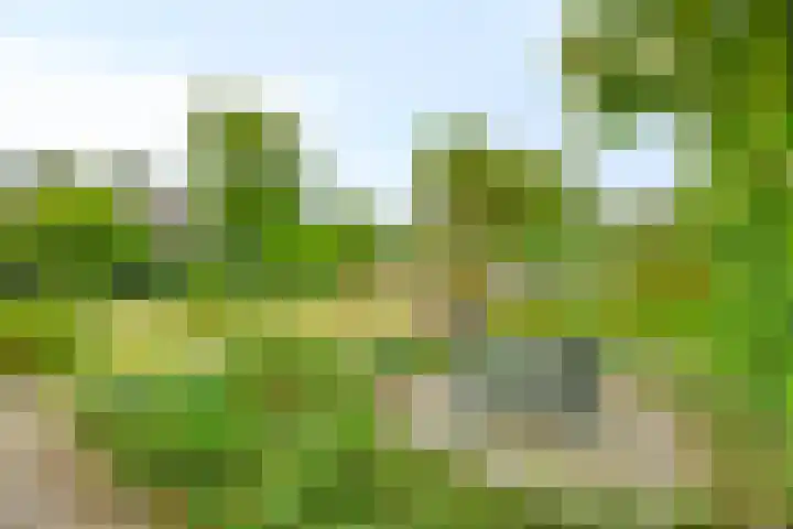 Vlasstraat 13 Heikant thumbnail 33