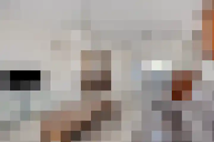 Vlasstraat 13 Heikant thumbnail 7