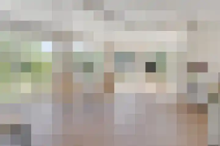 Vlasstraat 16 Bruinisse thumbnail 10