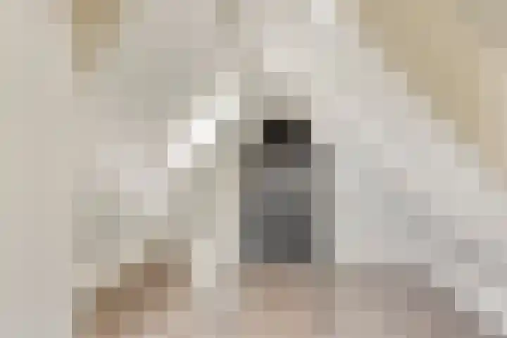 Vlasstraat 16 Bruinisse thumbnail 26