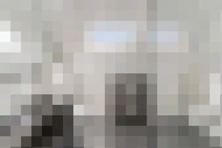 Vlasstraat 16 Bruinisse thumbnail 29