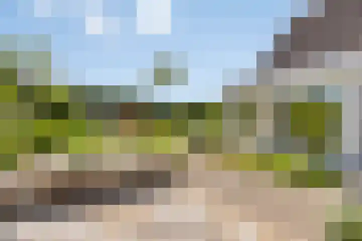 Vlasstraat 16 Bruinisse thumbnail 33