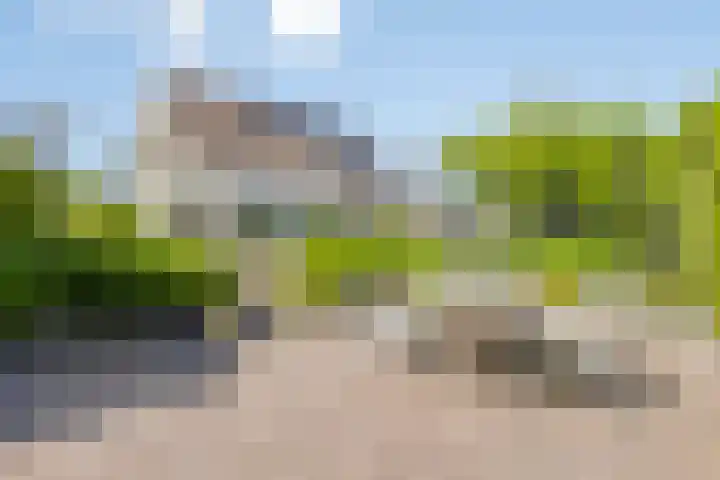 Vlasstraat 16 Bruinisse thumbnail 35