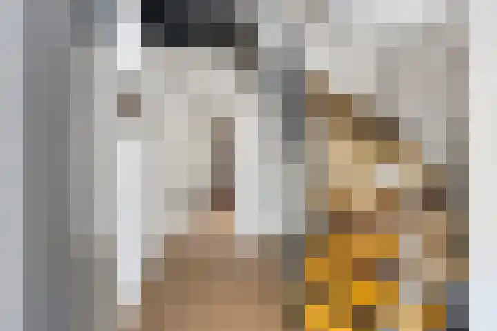 Vlasstraat 16 Bruinisse thumbnail 5