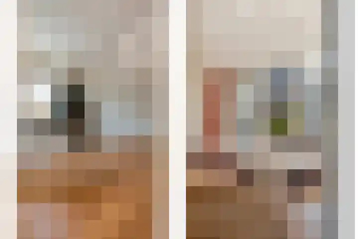 Vlasstraat 20 Diever thumbnail 10