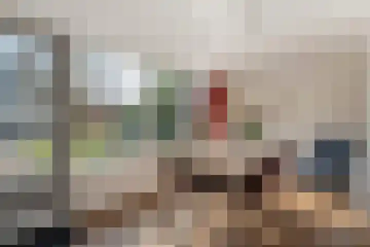 Vlasstraat 20 Diever thumbnail 12