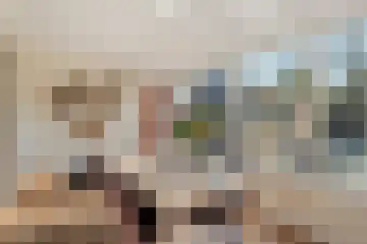 Vlasstraat 20 Diever thumbnail 14