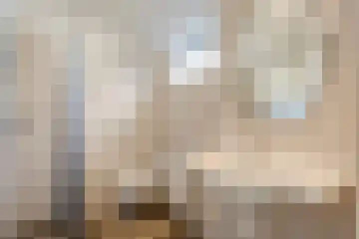 Vlasstraat 20 Diever thumbnail 17