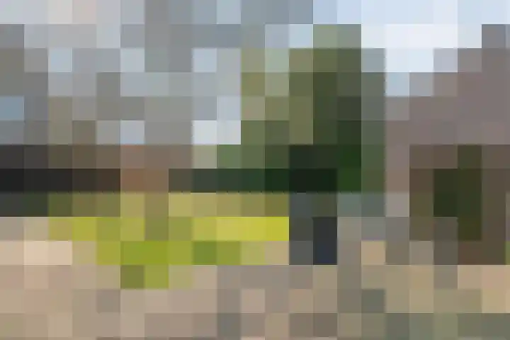 Vlasstraat 20 Diever thumbnail 29