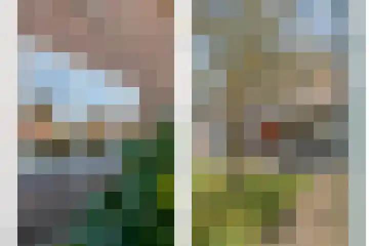 Vlasstraat 20 Diever thumbnail 32