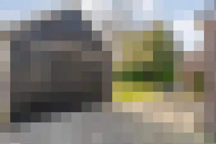 Vlasstraat 20 Diever thumbnail 33