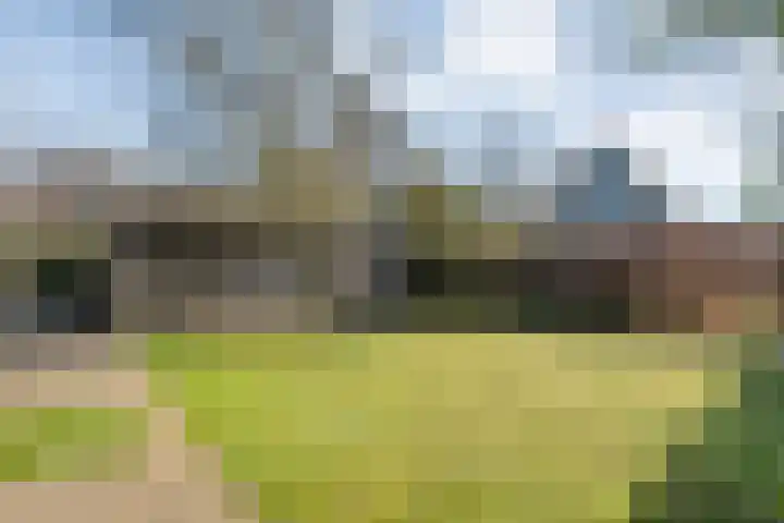Vlasstraat 20 Diever thumbnail 34