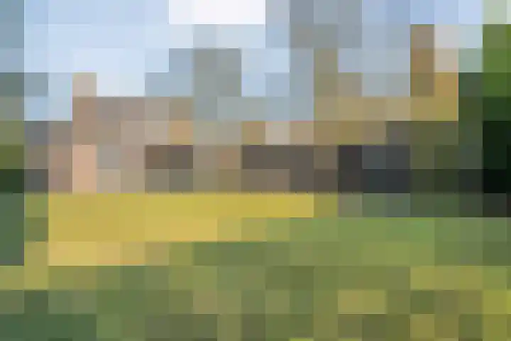 Vlasstraat 20 Diever thumbnail 35