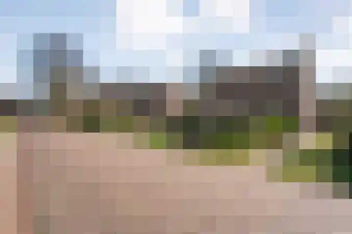 Vlasstraat 20 Diever thumbnail 39
