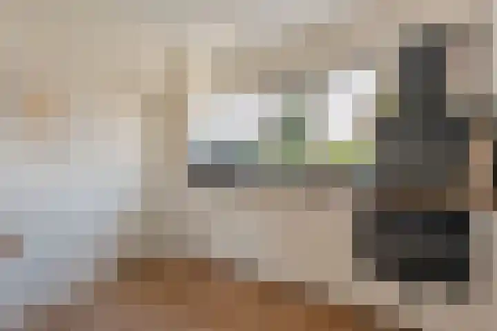 Vlasstraat 20 Diever thumbnail 8