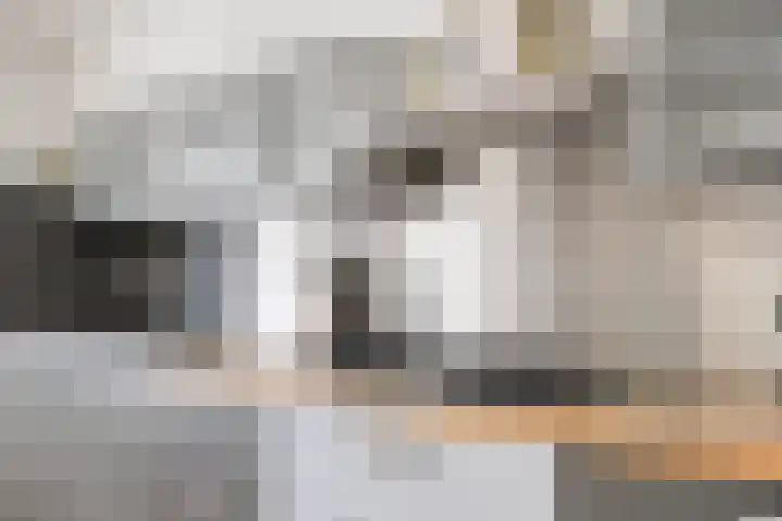 Vlasstraat 3 A Oss thumbnail 11
