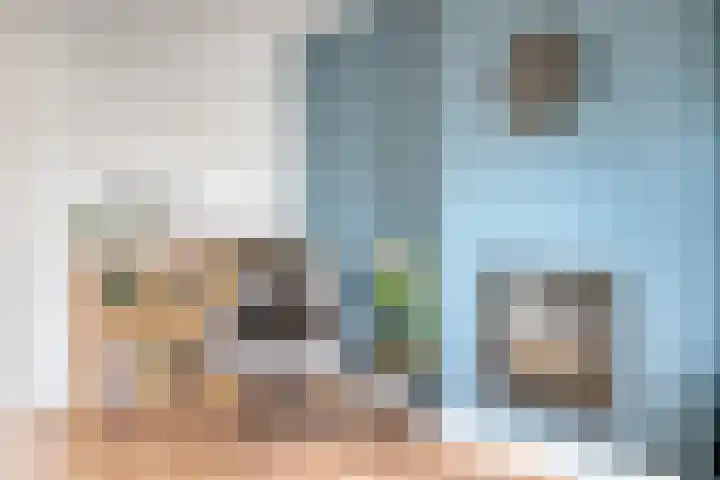 Vlasstraat 3 A Oss thumbnail 17