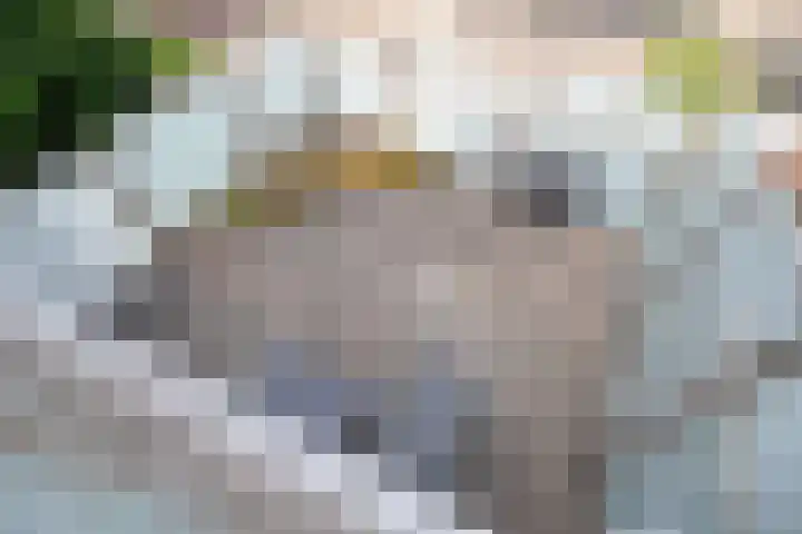 Vlasstraat 3 A Oss thumbnail 28