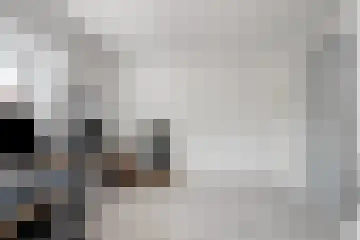 Vlasstraat 3 A Oss thumbnail 33
