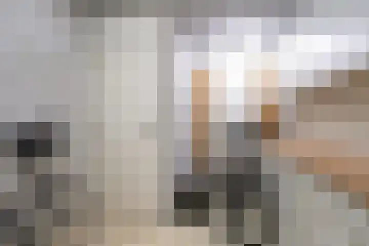 Vlasstraat 3 A Oss thumbnail 36