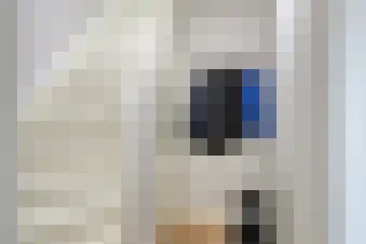 Vlasstraat 3 A Oss thumbnail 9