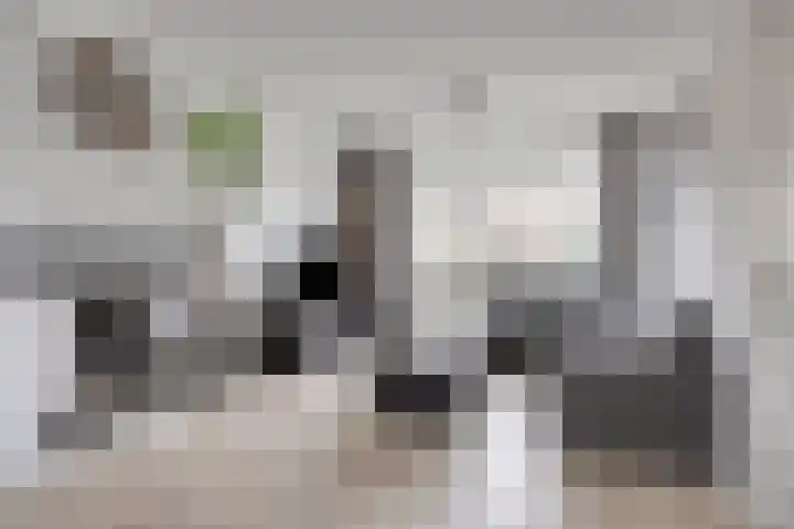 Vlasstraat 3 Zuidland thumbnail 11